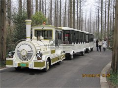 城市的另一道亮麗風景線之無軌小火車