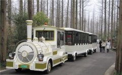 無(wú)軌小火車多少錢一輛？掙錢嗎？